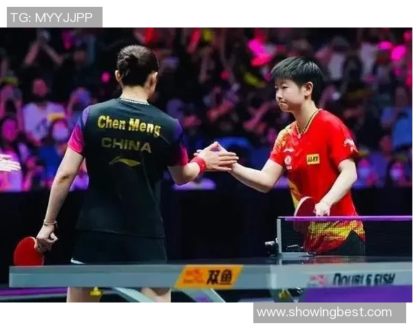 武汉羽毛球队与北京羽毛球队赛后复盘分析比赛节奏与战术对决